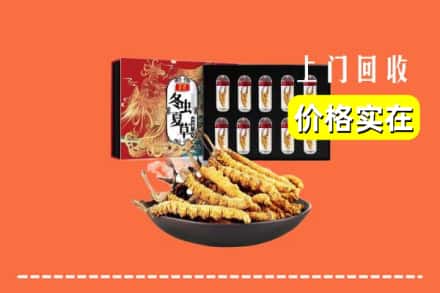 宁德市寿宁回收冬虫夏草